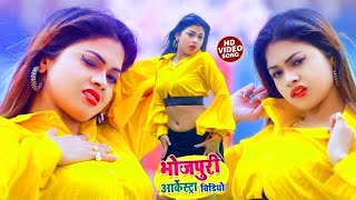 Video  Pawan Singh  राजाजी के दिलवा  Shivani Singh  Rajaji Ke Dilwa  New Bhojpuri Song 2024 [upl. by Neenahs565]