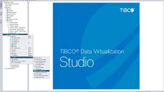 TIBCO Data Virtualization in Energy [upl. by Malony201]