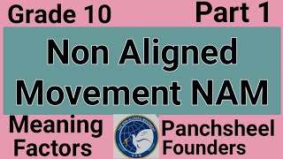 NAM  Non Aligned Movement  ICSE Class 10  sirtarunrupani [upl. by Carlene]