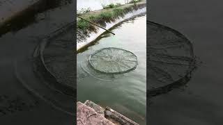 Real outdoor raising net fishing network outdoor grabbing outdoor outdoor explosion net National Da [upl. by Marcelle]