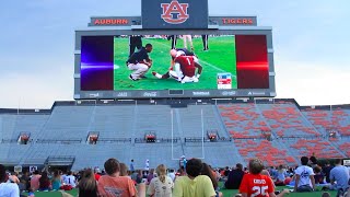 JordanHare Stadium quotJumbotronquot Watch Party [upl. by Elahcim261]