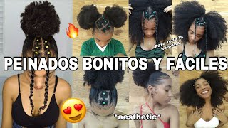 PEINADOS PARA PELO AFRO RIZADO 🔥😎💁🏽‍♀️ FÁCILES Y BONITOS  IDEAS PARA TODA LA SEMANA Rachell Santos [upl. by Casaleggio]