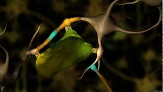 Neuronal Degeneration 3D [upl. by Yrrot]