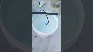 9v Battery vs 220v AC supply in water experiment 9vbattry viral trending [upl. by Garvey89]