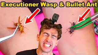 STUNG by Bullet Ant and Executioner Wasp at the SAME TIME EXPOSED Coyote Peterson [upl. by Lawrence357]