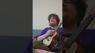 Men At Work  Land Down Under  Acoustic Covers Without Confidence pt7 music ukulele [upl. by Laoj697]