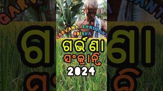 GARVANA SANKRANTI 🥢IN ODISHA🥢VILLAGE FESTIVAL🥢2024🥢JAJPUR♥️ଗର୍ଭଣା ସଂକ୍ରାନ୍ତି 🥢 [upl. by Donata]