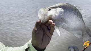 New rules in effect for crappie fishing in North Mississippi [upl. by Laurita]