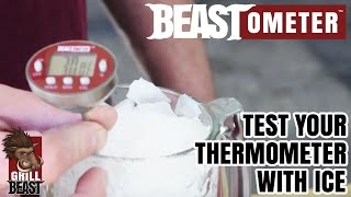 Test Your Thermometer with Ice the Right Way  Grill Beast [upl. by Berardo961]