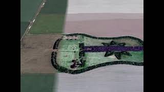 Amazing Guitar Shaped Forest in Argentina with Google Earth [upl. by Juna]