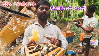 ಜೇನು ಕೃಷಿಯ ಕುರಿತು ಒಂದಷ್ಟು ಮಾಹಿತಿ  honey bee farming in kannada [upl. by Lakin]