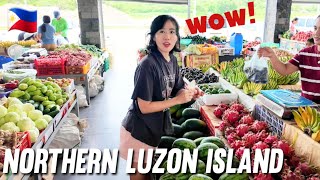 Korean familys visit to northern Luzon begins [upl. by Thatch412]