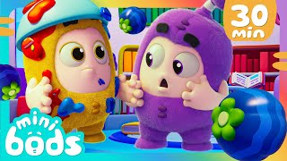 Ricoperto di frutta e vernice 🍇🖌️ Cartoni Animati📺 Video divertenti  MINIBODS  Oddbods Italia [upl. by Harpp]