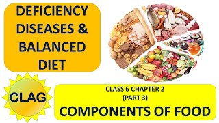 Deficiency diseases and Balance diet Components of Food Part 3 science class 6 chapter 2 [upl. by Arzed]