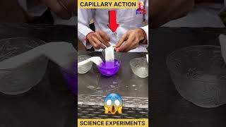 capillary rise class 11 physics  experiment science physics scienceexperiment [upl. by Elbag]