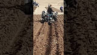 David Brown Tractor Ransomes Plough at Cruckton Ploughing Match  Saturday 14th September 2024 [upl. by Sirod812]