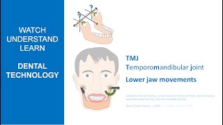 TMJ Temporomandibular joint amp Lower jaw movements [upl. by Garey]