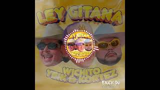 Ley Gitana Wichito Sv 🍻 By Danny Beat 😎 [upl. by Leonore]