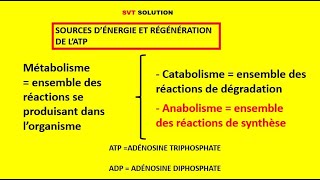 Sources dénergie et régénération de lATPTS [upl. by Airotciv]