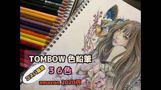 色鉛筆メイキング〜コスパ最高〜 TOMBOW色鉛筆 トンボ色鉛筆 coloredpencils drawing illustration イラストメイキング [upl. by Notlih]