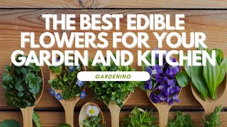 The Best Edible Flowers for Your Garden and Kitchen [upl. by Lienahs]