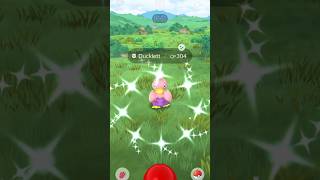 ✨️Shiny Ducklett pokemon pokemongo shinypokemon mobilegame shiny [upl. by Eileen192]