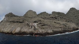 MALPELO Navegando al corazón del Pacífico Colombiano  El País Cali [upl. by Barcot]