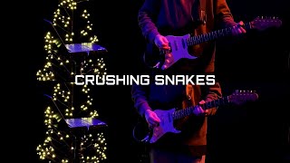 Crushing Snakes  Crowder Guitar cover [upl. by Noinatrad741]