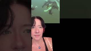 Scuba Diving Resort Part 2 shark sharks scubadiving submechanophobia horrorshorts viralvideo [upl. by Noivaz]