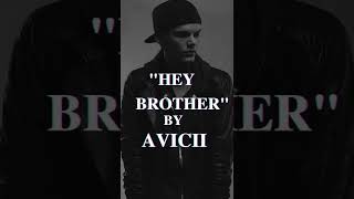 👇🏼 Song full  Avicii  Hey Brother shorts karaoke karaokehits instrumentals instrumental [upl. by Annaerb]