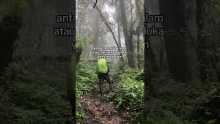 Hati yang terluka kaki nya yang disiksa masukberandashortsshortvideofunnyquoteskatakata [upl. by Fenwick]