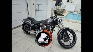 HARLEY DAVIDSON 2015 VISTORIA CAUTELAR RJ DRPERICIA [upl. by Eico945]