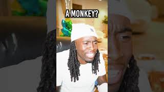 Fan Calls Kai Cenat amp Lil Uzi Vert And Calls Him A Monkey…😭💀 [upl. by Jacqueline812]