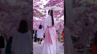 Chinese traditional clothes hanfu [upl. by Enitsyrhc804]