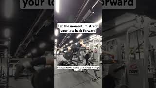 Reverse Hyperextensions will heal your back [upl. by Barty625]