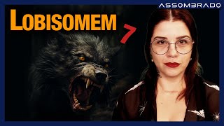 SÓ RELATOS SOBRE LOBISOMENS PARTE 7  COLETÂNEA TEMÁTICA [upl. by Yleme469]