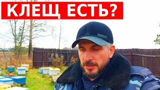 сделал 4ю обработку чтобы узнать сколько клеща осталось после обработок сублиматором Varroa Control [upl. by Niltak121]