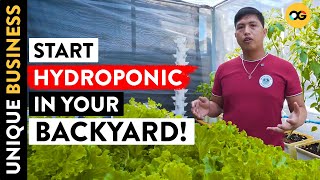 Got P500 to Invest Learn Hydroponics Farming TUTORIAL  OG [upl. by Garrott623]