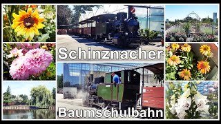 Schinznacher Baumschulbahn Baumschule Zulauf Dampflokomotive Molly Kanton Aargau Schweiz 2020 [upl. by Yks]