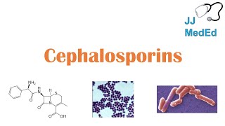 Cephalosporin Antibiotics 1st to 5th Generation Mechanism Side Effects and Bacterial Targets [upl. by Rednave]