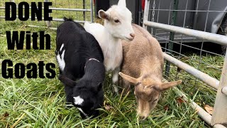 We Are DONE With Goats Winter Prep amp Selling the Goats [upl. by Anavrin]