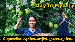 മിഥുനത്തിലെ കൃഷിയും നാട്ടിൻപുറത്തെ രുചിയും Day in my life Saranyas beauty vlogs [upl. by Lantz]