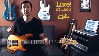 Live At Leos GampL L2000 Full Demo with Steve Araujo [upl. by Twedy]