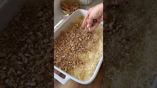 How to make Baklava with Fillo and Kataifi Pastry [upl. by Rudiger31]