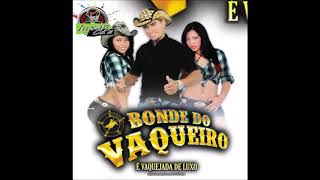 Bonde Do Vaqueiro  Volume 2  É Vaquejada De Luxo [upl. by Truscott21]