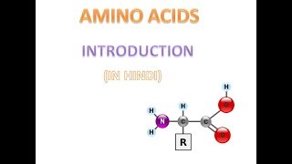 Amino Acid  Part1  INTRODUCTION  HINDI [upl. by Rellia]