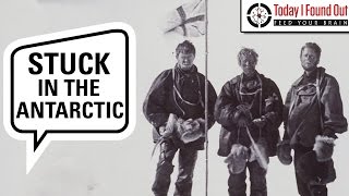 The Amazing Story of Douglas Mawsons 300 Mile Antarctic Trek [upl. by Amre]