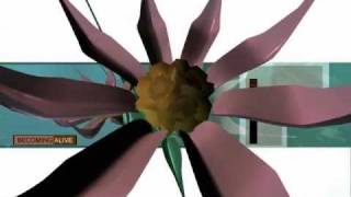 Channel 5 Sequence by Haujobb FullHD 1080p demoscene demo [upl. by Macgregor]