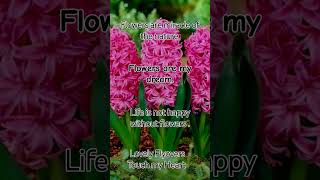 Bago Ke Har Phool Ko Apna song music Bagwan [upl. by Haraf]