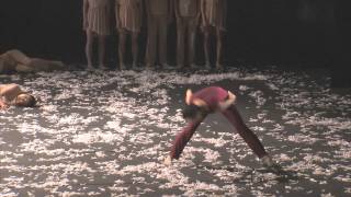 Movimentos Festwochen 2014  Bejing Dance Theater  Teil 1 [upl. by Sucram965]